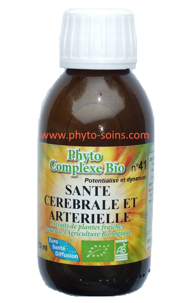 santé cérébrale et artérielle